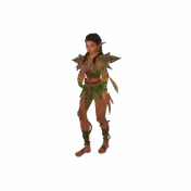 Spiritborn